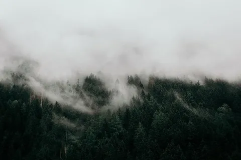 松树航空摄影 松树航空摄影