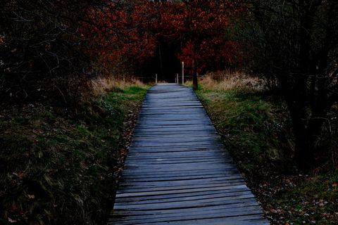 木制跑道，客场，栈道，小道，木板，木板，小路，木板