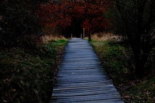 木制跑道，客场，栈道，小道，木板，木板，小路，木板