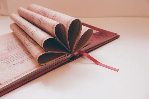 白色背景上的一本书的特写镜头 白色背景上的一本书的特写镜头