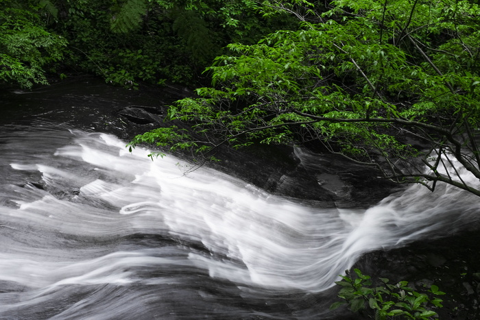 *，五峰池瀑布，自然，户外，户外探索，户外探索，树，树