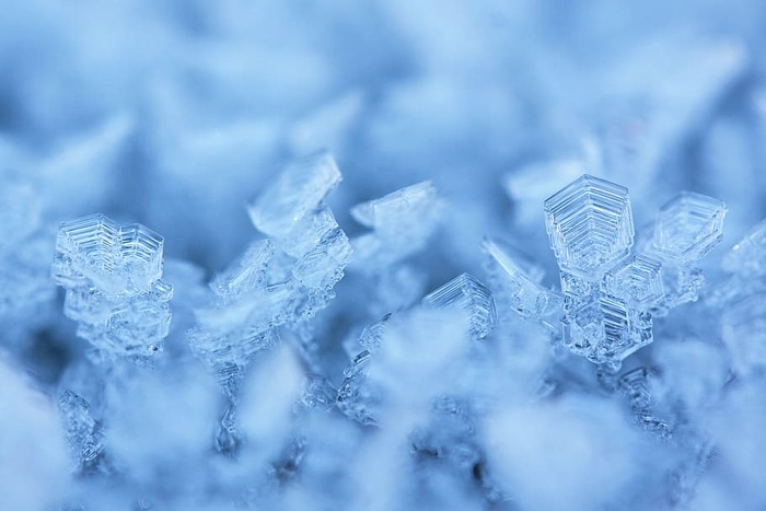 选择性，摄影，雪花，白霜，艾斯克里斯塔勒，冬天，雪，寒冷