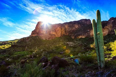 仙人掌、悬崖、云、草、山、风景、光、户外 仙人掌、悬崖、云、草、山、风景、光、户外