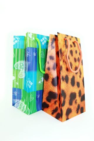 袋子，袋子，礼物，礼物，孤立的，商品，新的，没有人