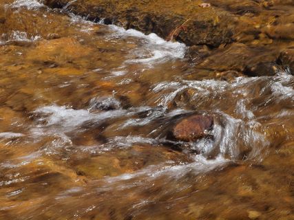 大卫，克罗基特，州，公园，田纳西州，大卫，克罗基特，州，公园，公园，自然