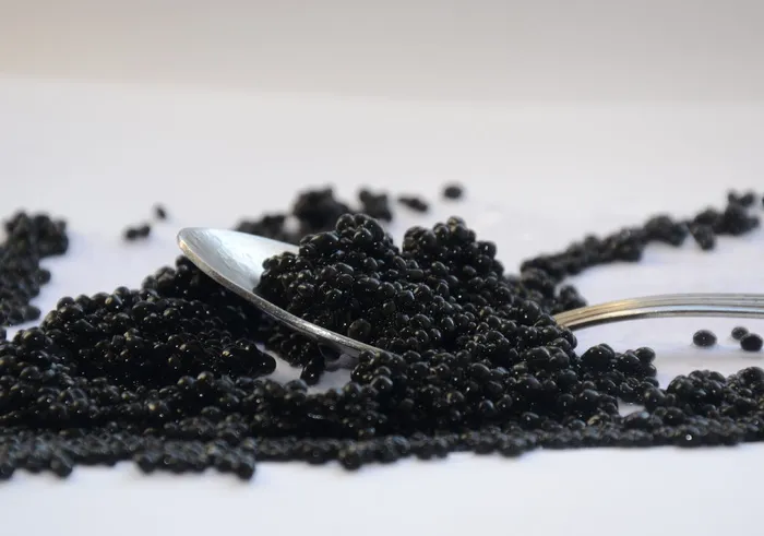 黑鱼子酱，杯子，盘子，鱼子酱，杯子，盘子，黑色，食物，早餐
