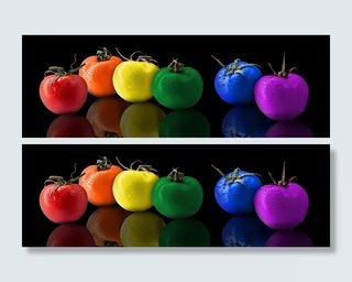 六色番茄，番茄，番茄，彩色，彩虹，彩虹，彩色番茄，彩色番茄