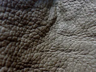 皮肤、皮革、材料、袋子、灰色、纺织品、动物主题、背景