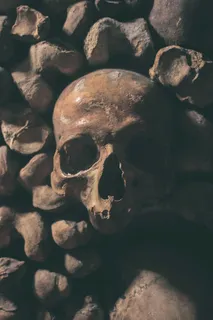 人类头骨特写摄影