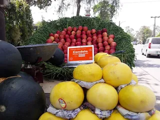 植物、食品、农产品、汽车、汽车、交通工具、水果