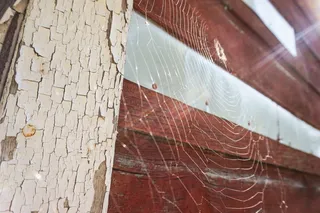 美国，明尼苏达州，照片，图像，图像，摄影，图片，非闪光