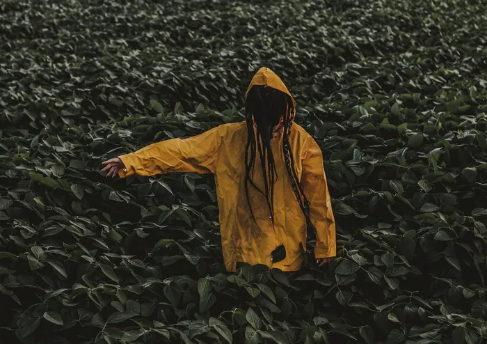 穿着黄色雨衣，周围有绿叶植物的人