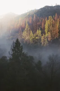 鸟瞰、视图、树木、自然、山脉、绿色、秋天、秋天 鸟瞰、视图、树木、自然、山脉、绿色、秋天、秋天