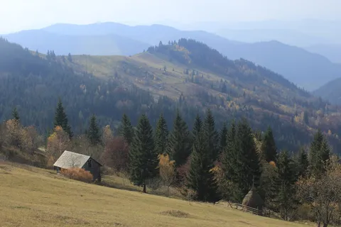 秋天,树,山,山,小屋,小屋,自然,温暖 秋天,树,山,山,小屋,小屋,自然,温暖