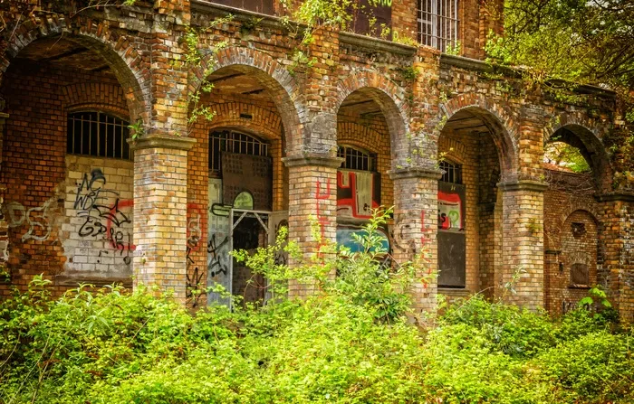 绿色，叶子植物，旁边，建筑物，失落的地方，墙，家，砖