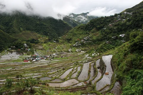 白天的梯田景观 白天的梯田景观