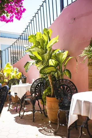 古巴、特立尼达、餐桌、植物、饮料、美食、浪漫、晚餐