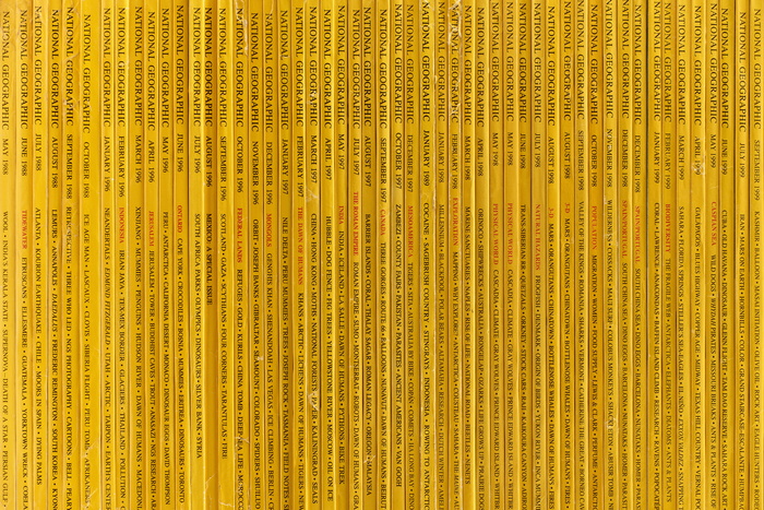 黄皮书，无标题，重复，重复，纹理，图案，表面，国家地理