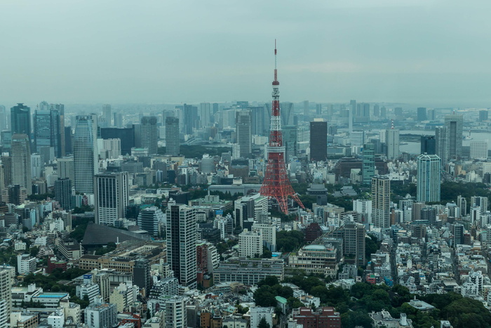 顶部、视图、城市建筑、红色、白色、卫星、塔楼、中间