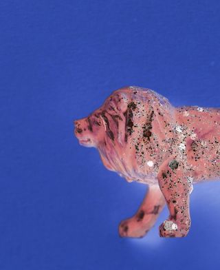 空中, 动物, 背景, 蓝色, 特写, 效果, 时尚, 图