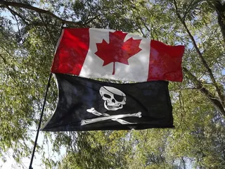 国旗，加拿大，海盗，树，爱国主义，植物，低角度视图，红色