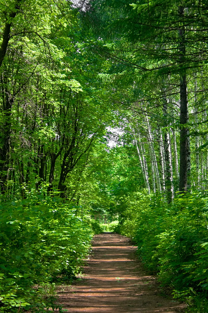 con2011，环境，环境，绿色，形象，自然，和平，照片