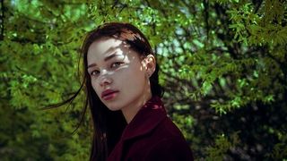 树旁的女人，肖像，一个人，头像，树，植物，年轻人，美女