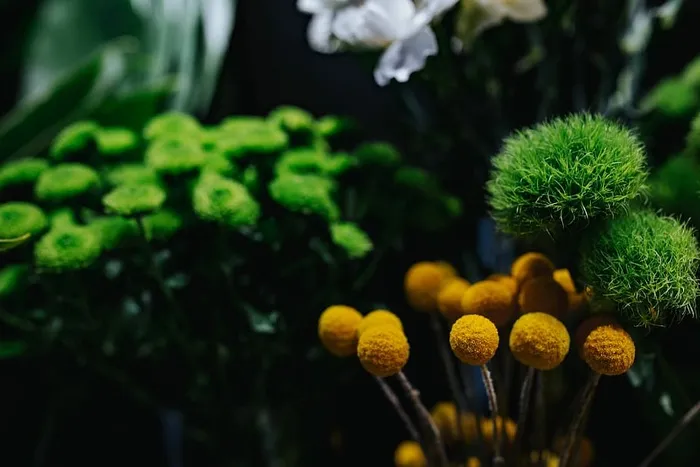 五颜六色的花束收藏