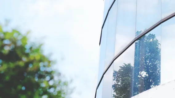 波基,日本人,树,自然,反思,作家,写作,反思 波基,日本人,树,自然,反思,作家,写作,反思