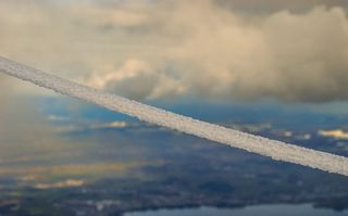 鸟、飞行、动物、冒险、休闲活动、交通、飞机、车辆