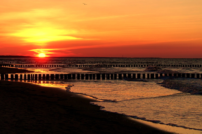 日落, 黄昏, 水域, 晚上, 波罗的海, zingst, 海岸, 海滩