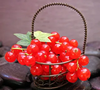 红色，樱桃，棕色，金属篮，醋栗，水果，红醋栗，水果