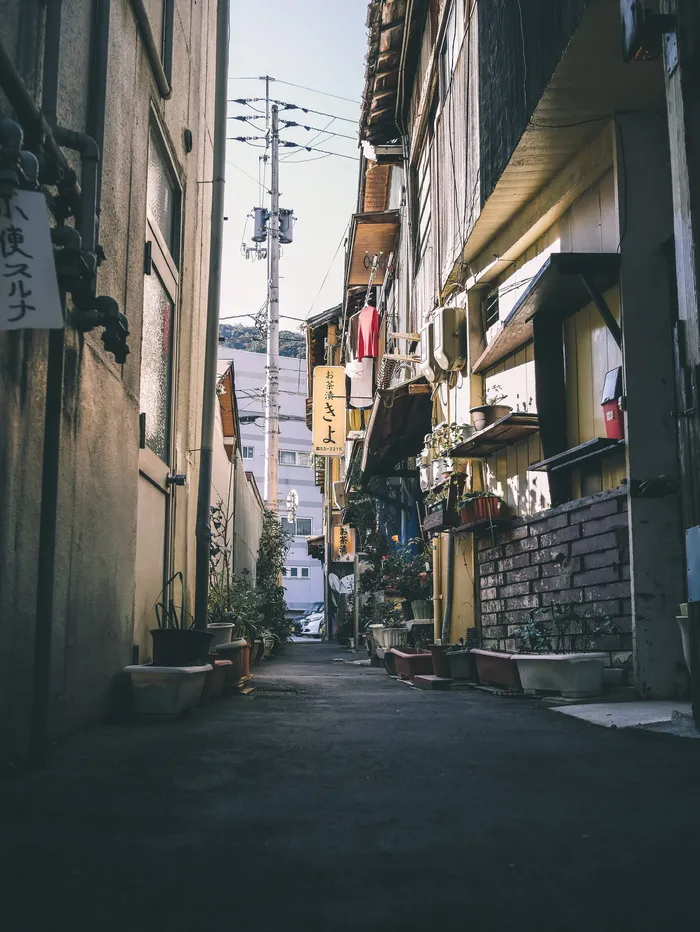 两栋建筑之间的植物照片