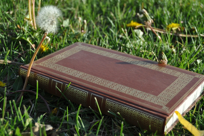 *、柏拉图、书籍、论据、导师、心态、哲学、教育