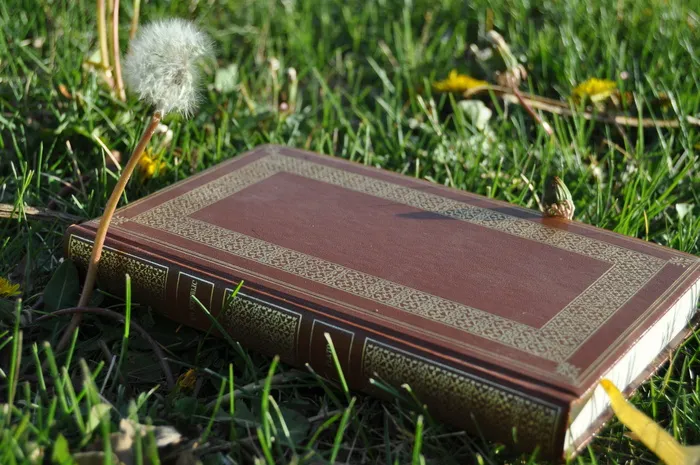 *、柏拉图、书籍、论据、导师、心态、哲学、教育