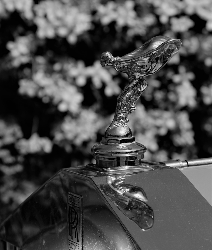 汽车吉祥物, 年份, 老, 车辆, 雕像, 专注于前景, 特写, 没有人