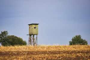 jägertstand、田地、麦穗、农业、黄色、自然、残茬、谷物