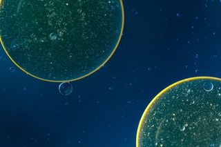 <!DOCTYPE html>
<html>
    <head>
        <title>文件“C:log.txt”正由另一进程使用，因此该进程无法访问此文件。</title>
        <meta name="viewport" content="width=device-width" />
        <style>
         body {font-fam