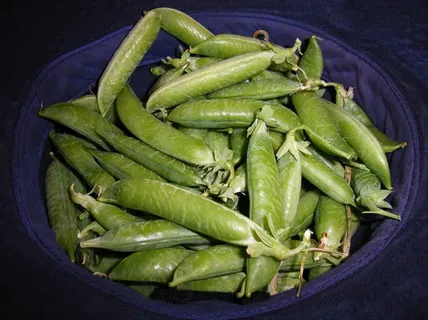 豌豆、豆荚、收获、作物、帽子、蔬菜、新鲜、豆类 豌豆、豆荚、收获、作物、帽子、蔬菜、新鲜、豆类