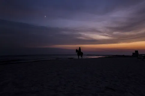 海,马,Gi,海洋,旅游,海,马,夏天,自然 海,马,Gi,海洋,旅游,海,马,夏天,自然