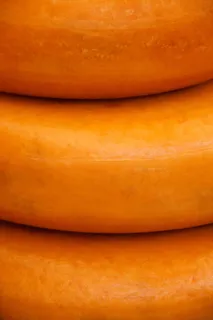 奶酪，圆形，圆形，奶制品，荷兰，吃，食品，荷兰