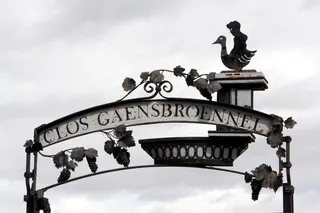 教，葡萄栽培，鹅，葡萄，簇，藤，天，云天