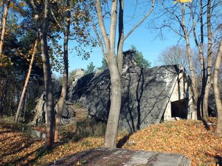 邦克镇，文斯多夫，邦克，树，植物，自然，宁静，白天