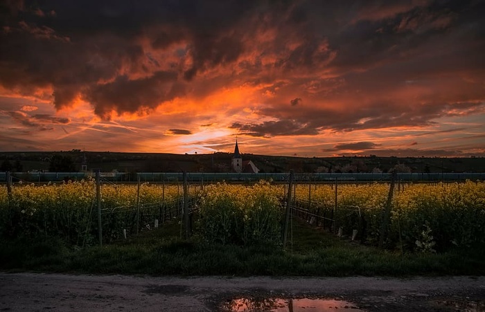 绿色，田野，橙色，日落，观赏，黑暗，云彩，天空