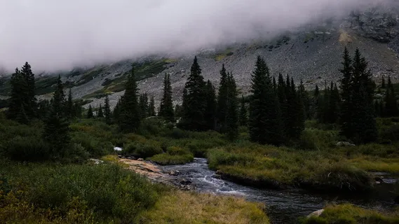 美国、困惑峰、水、森林、山脉、雾、溪流、户外