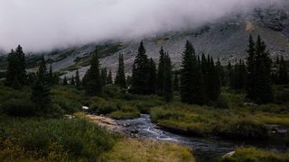 美国、困惑峰、水、森林、山脉、雾、溪流、户外