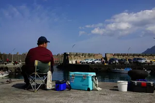 *，基隆市，海洋，鱼类，失业，等待，就业，渔民