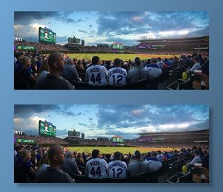 人们，观看，足球比赛，芝加哥，棒球，小熊队，箭牌队，体育