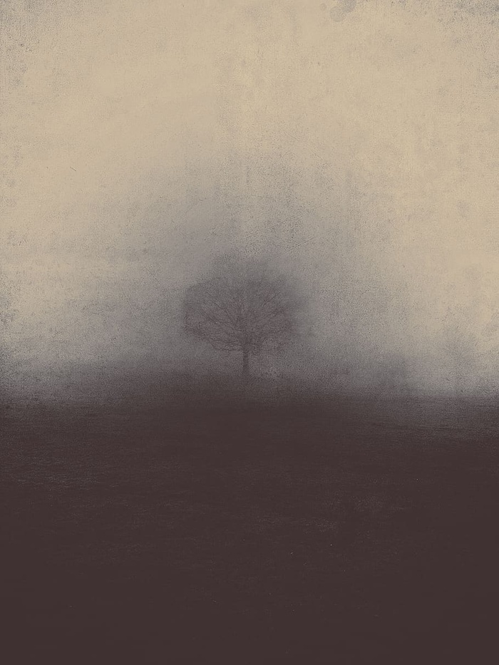 雾，雾，大自然的阴霾，雾，阴郁，诡异，风景，可怕