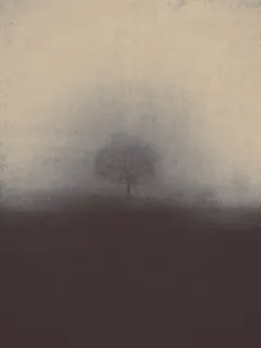 雾，雾，大自然的阴霾，雾，阴郁，诡异，风景，可怕